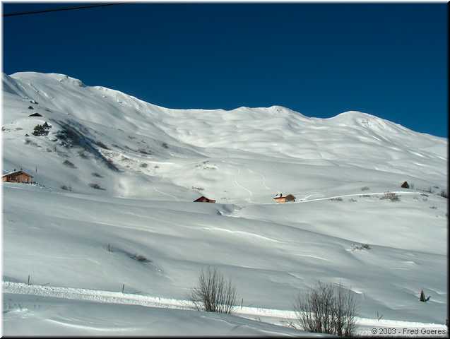 01440.JPG